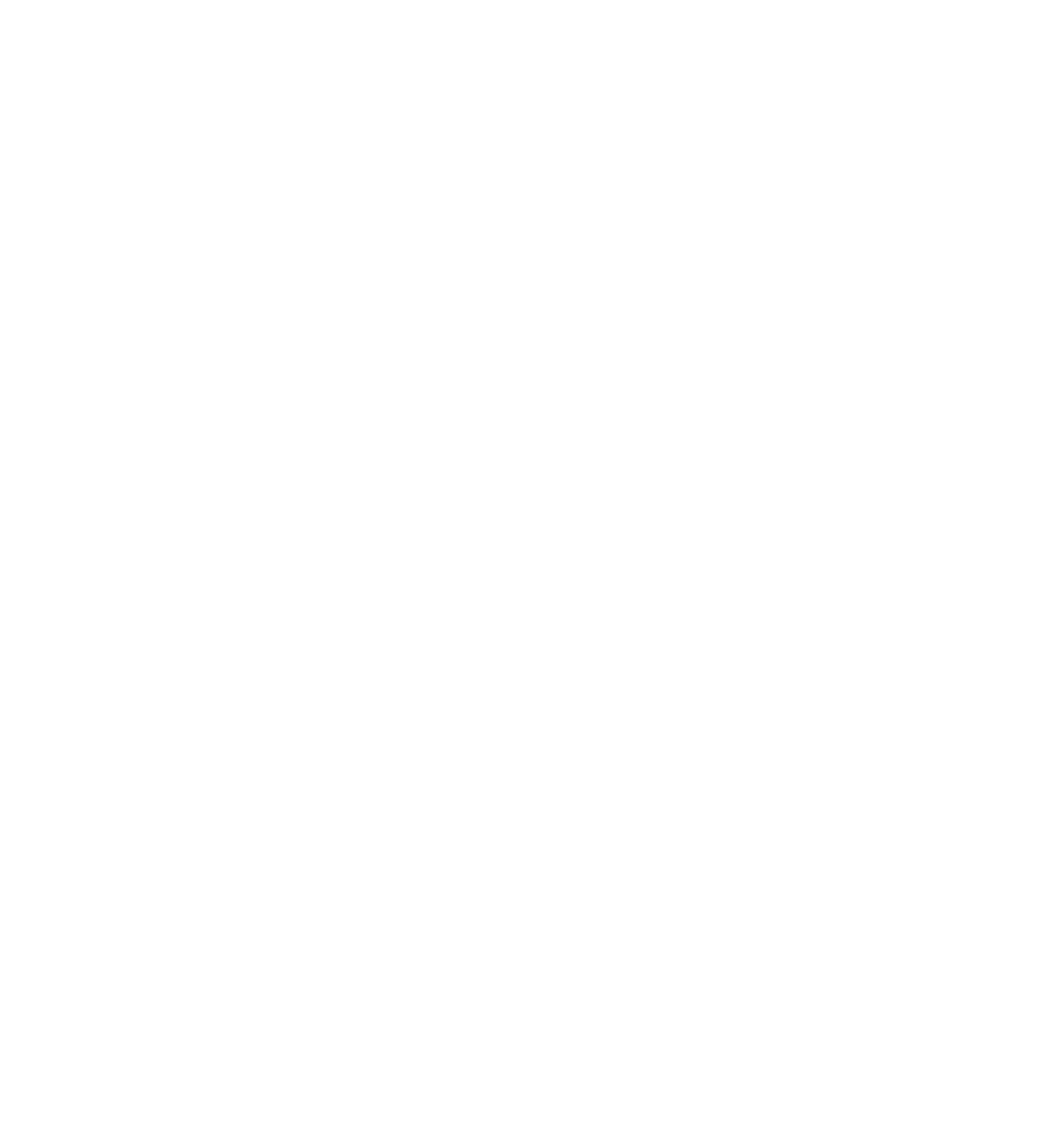 dlogo transparent